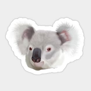 Cute Koala Face Sticker